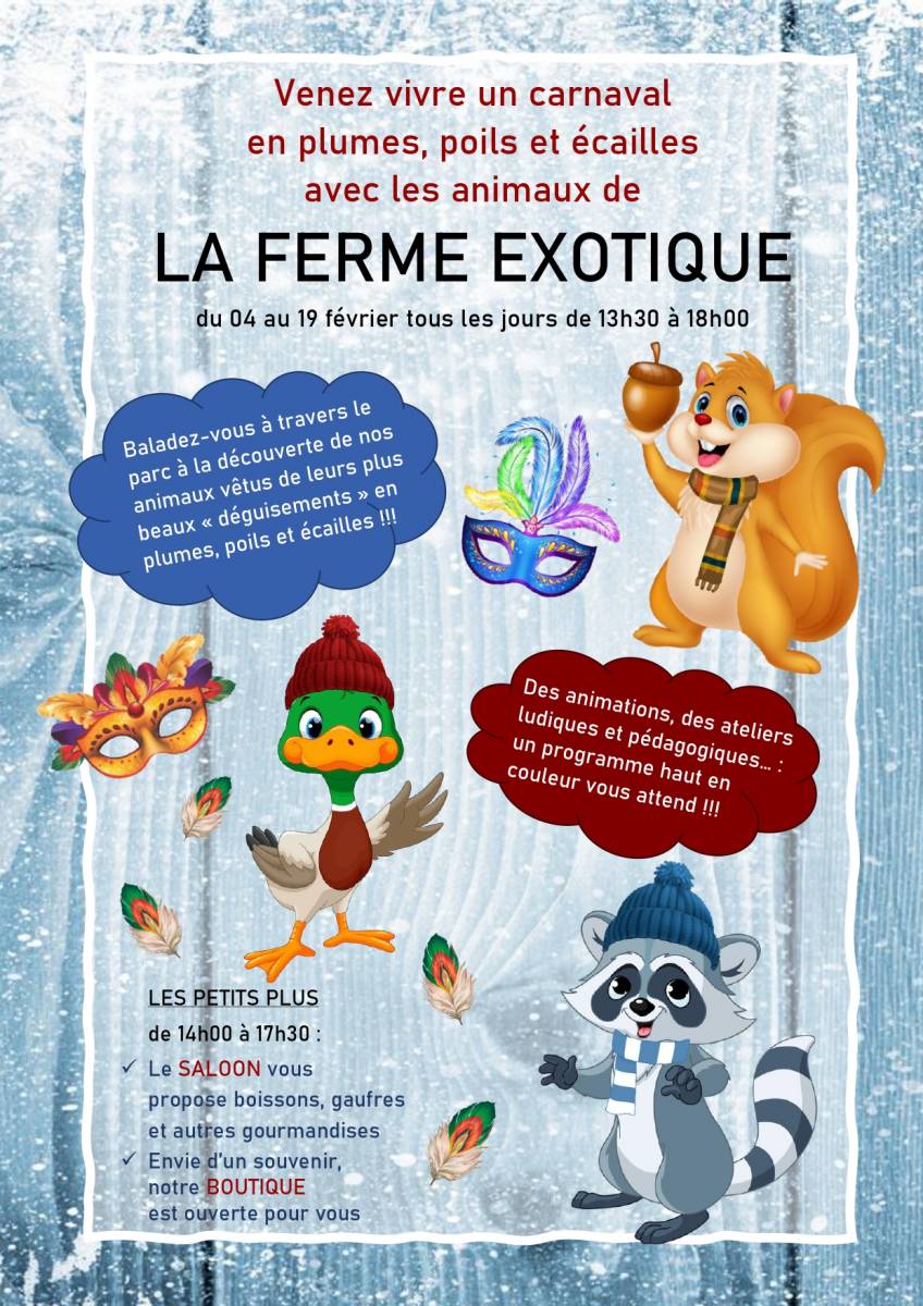 Animations hiver