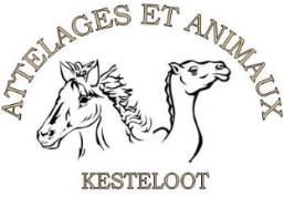 Attelage et animaux location 