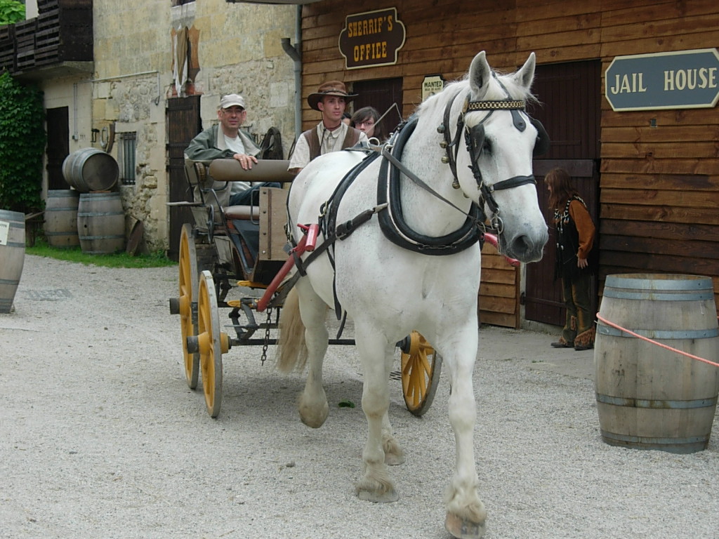 Escapade en charrette tirée par des chevaux en Gironde
