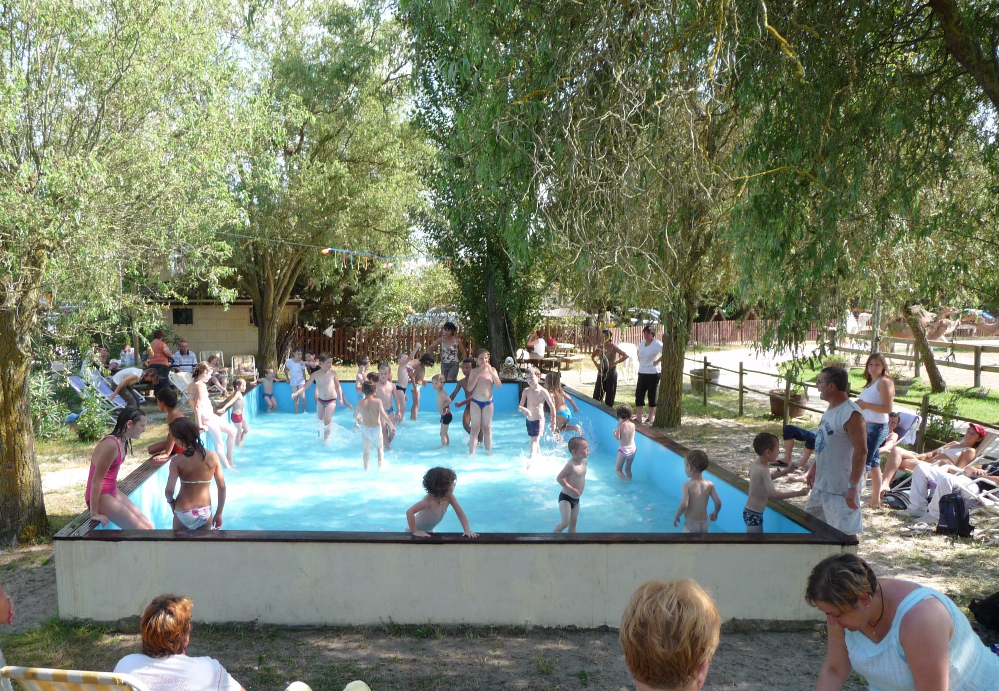 Rafraîchissement dans la pataugeoire lors de la visite de notre parc animalier en Gironde