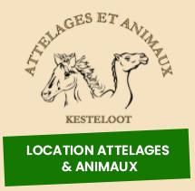 Parc animalier à Bordeaux, Zoo avec Activités